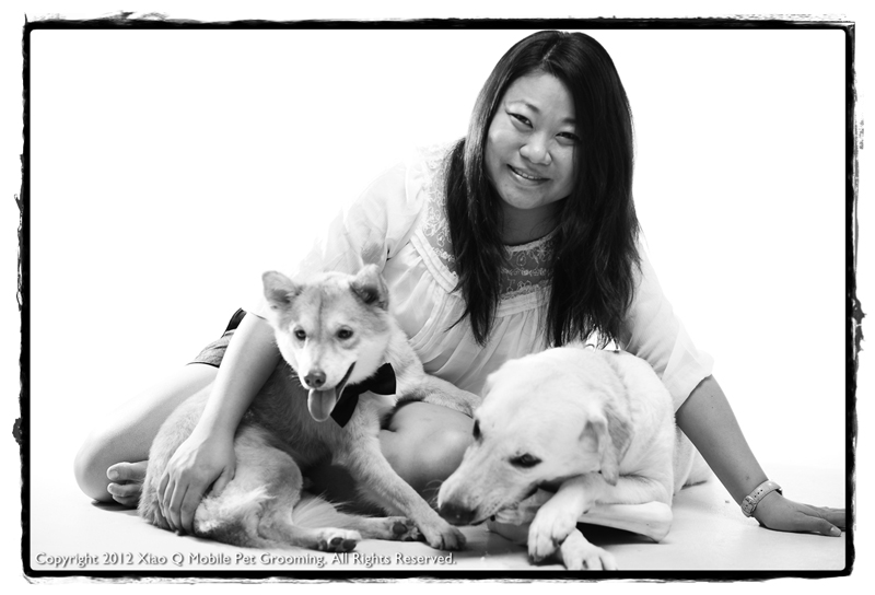 xiao q mobile pet grooming