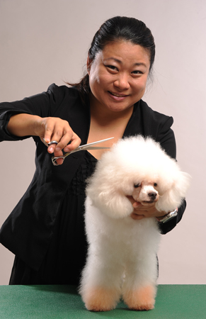 xiao q mobile pet grooming